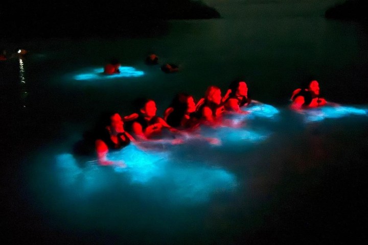 a group of people in a dark room